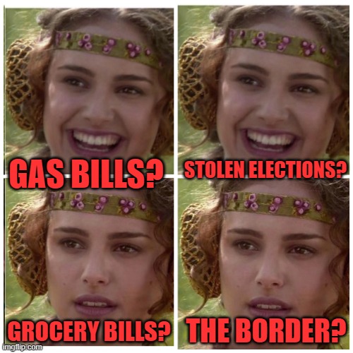 Natalie Portman | GAS BILLS? GROCERY BILLS? THE BORDER? STOLEN ELECTIONS? | image tagged in natalie portman | made w/ Imgflip meme maker