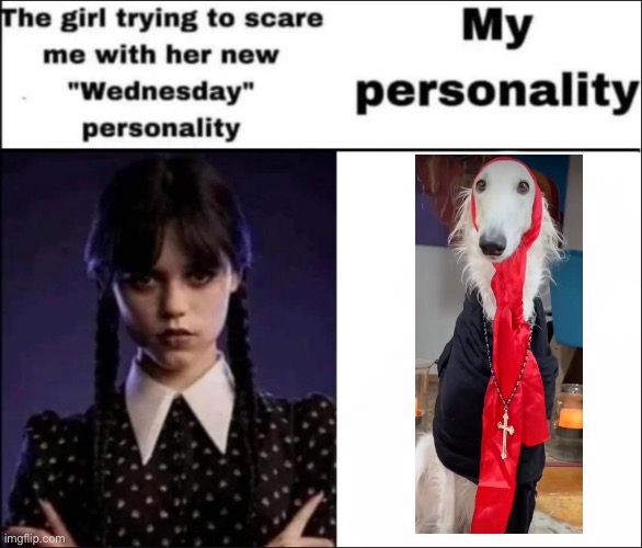 Holy borzoi | image tagged in the girl trying to scare me with her new wednesday personality | made w/ Imgflip meme maker