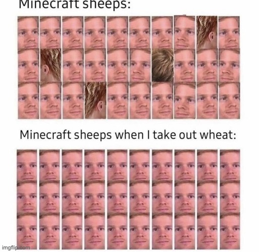 Don't open the gate | image tagged in minecraft,memes,gaming,funny,minecraft memes,sheep | made w/ Imgflip meme maker