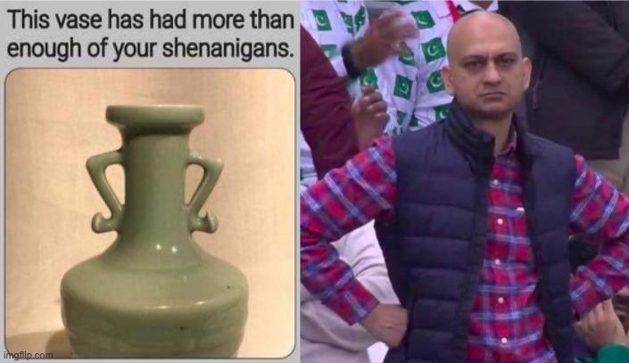 image tagged in repost,angry pakistani fan,funny,memes,vase,why are you reading this | made w/ Imgflip meme maker