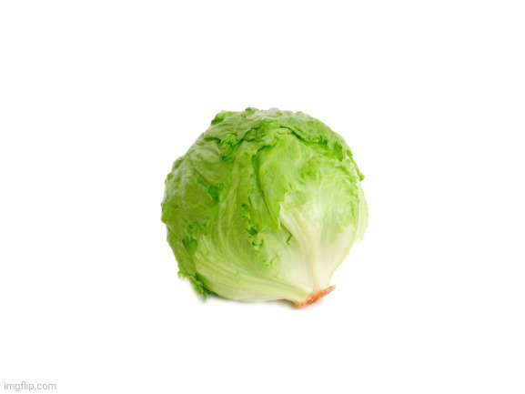 Lettuce | image tagged in fun | made w/ Imgflip meme maker