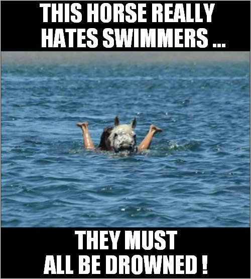 Psycho, The Killer Horse ! | THIS HORSE REALLY
    HATES SWIMMERS ... THEY MUST ALL BE DROWNED ! | image tagged in psycho,horse,drowning,swimmers,dark humour | made w/ Imgflip meme maker