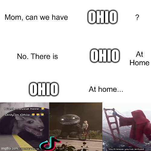 Mom can we have | OHIO; OHIO; OHIO | image tagged in mom can we have | made w/ Imgflip meme maker