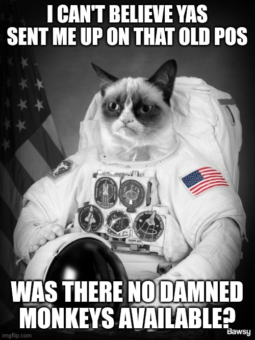 Grumpy Spacecat | I CAN'T BELIEVE YAS SENT ME UP ON THAT OLD POS; WAS THERE NO DAMNED MONKEYS AVAILABLE? | image tagged in grumpy spacecat | made w/ Imgflip meme maker