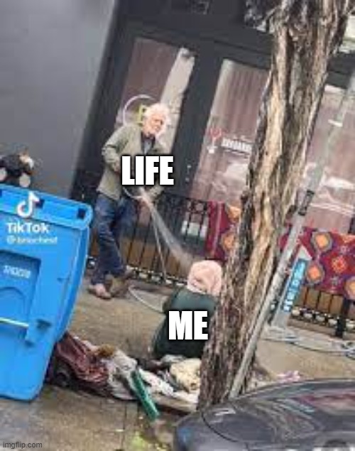 LIFE; ME | image tagged in life | made w/ Imgflip meme maker