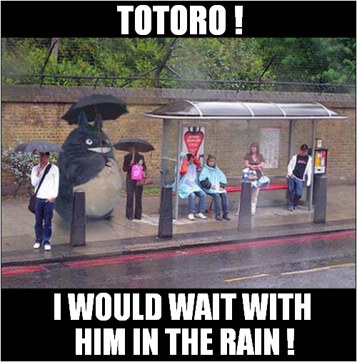 My Neighbour Totoro ! | TOTORO ! I WOULD WAIT WITH
 HIM IN THE RAIN ! | image tagged in fun,totoro,waiting,rain | made w/ Imgflip meme maker