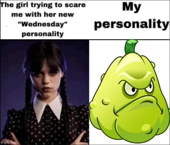 the | image tagged in the girl trying to scare me with her new wednesday personality | made w/ Imgflip meme maker