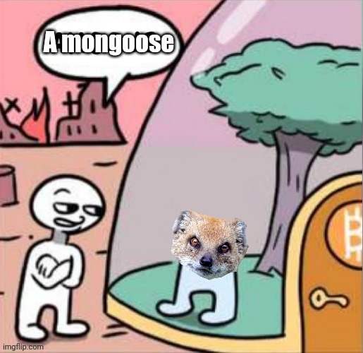 A mongoose | image tagged in gaming,video games,among us,amogus | made w/ Imgflip meme maker