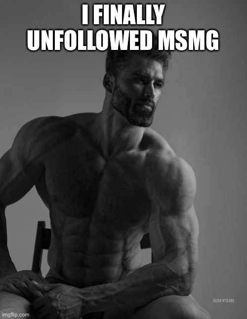 I did it guys | I FINALLY UNFOLLOWED MSMG | image tagged in giga chad | made w/ Imgflip meme maker