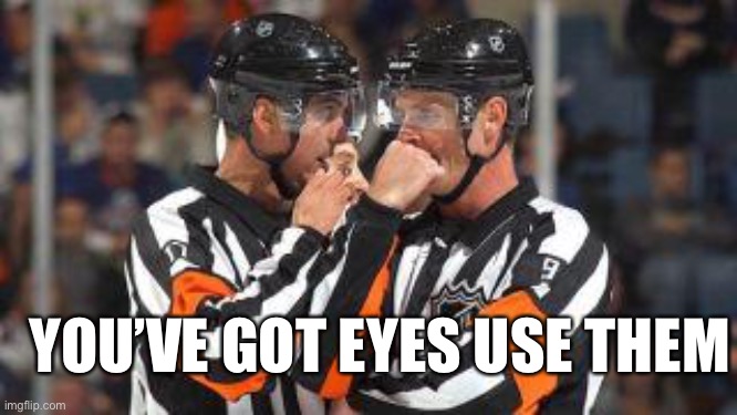 You’ve Got Eyes Use Them | YOU’VE GOT EYES USE THEM | image tagged in nhl refs,eyes,referee | made w/ Imgflip meme maker