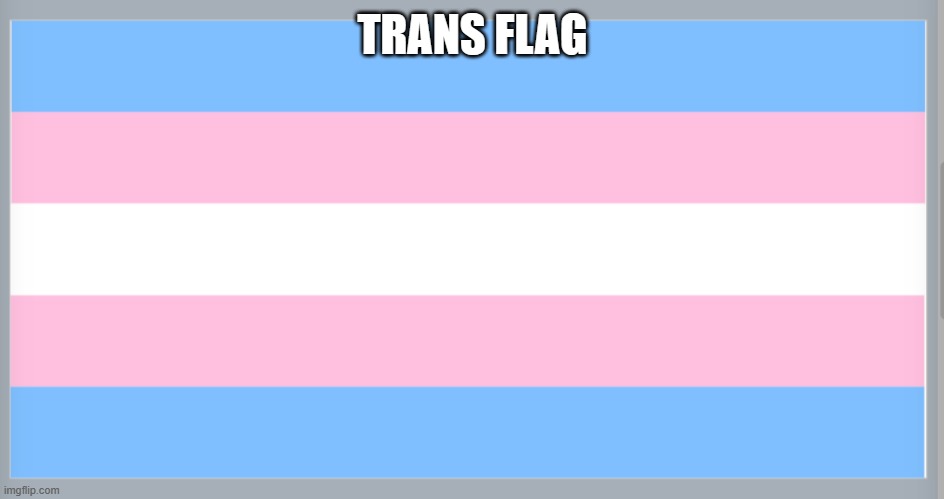 TRANS FLAG | made w/ Imgflip meme maker