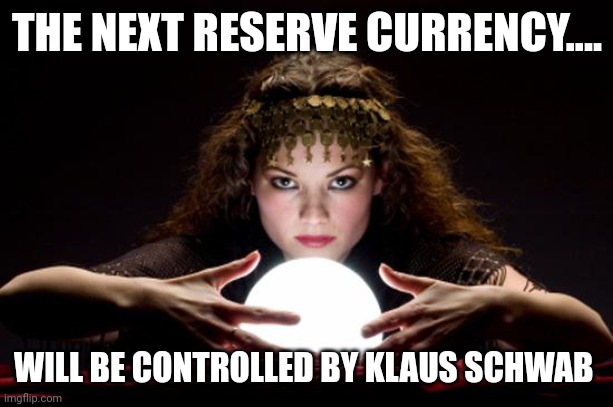 "You will own nothing and be happy" | THE NEXT RESERVE CURRENCY.... WILL BE CONTROLLED BY KLAUS SCHWAB | image tagged in fortune teller | made w/ Imgflip meme maker