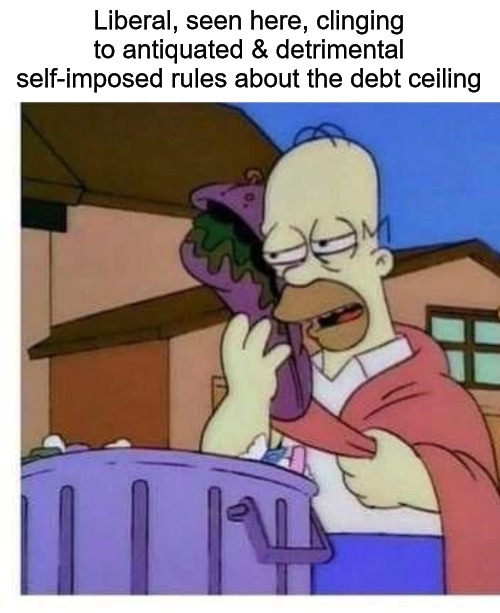 #LearnMMT | Liberal, seen here, clinging to antiquated & detrimental self-imposed rules about the debt ceiling | image tagged in national debt,debt ceiling,homer simpson,mmt,economics | made w/ Imgflip meme maker