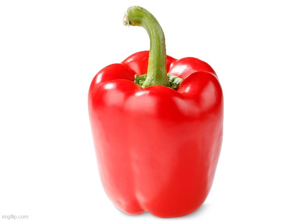 pepper | image tagged in pepper,vegetables | made w/ Imgflip meme maker