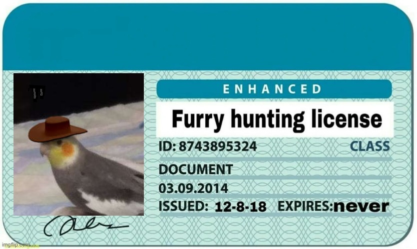 furry hunting license | image tagged in furry hunting license | made w/ Imgflip meme maker