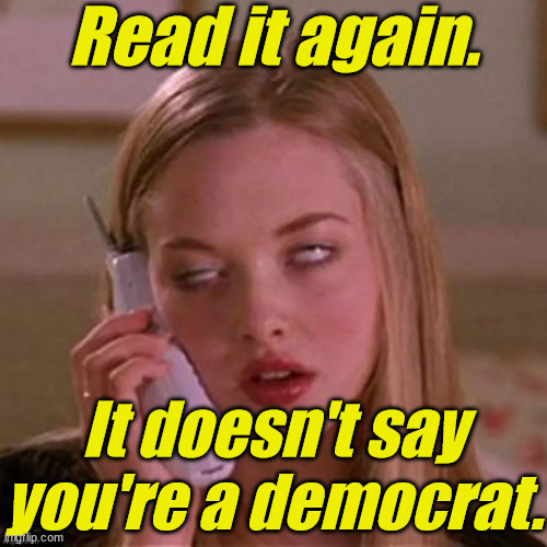 When Karen thinks you're stupid... | Read it again. It doesn't say you're a democrat. | image tagged in when karen thinks you're stupid | made w/ Imgflip meme maker