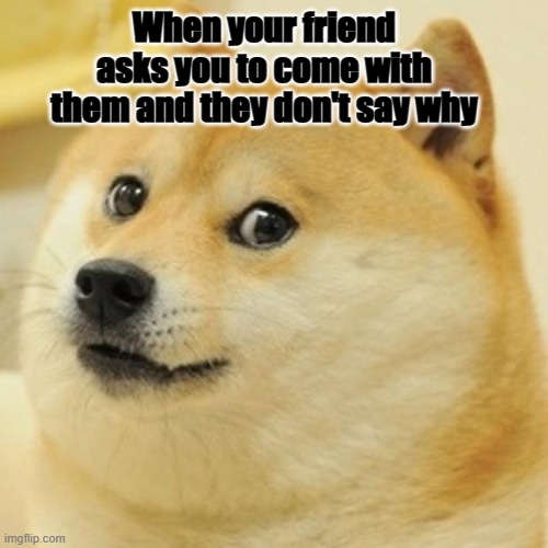 Doge | When your friend asks you to come with them and they don't say why | image tagged in memes,doge | made w/ Imgflip meme maker