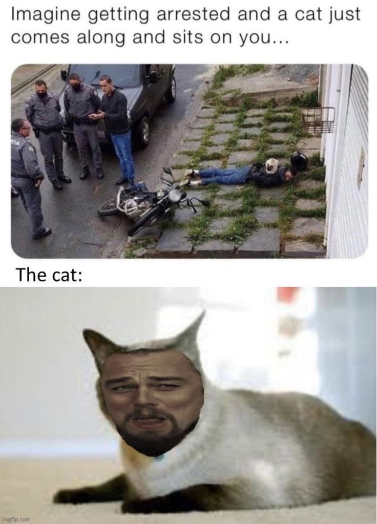 image tagged in memes,funny | made w/ Imgflip meme maker