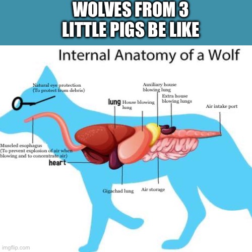 Wolves be like | WOLVES FROM 3 LITTLE PIGS BE LIKE | image tagged in fun,all,funny,weird,wolves,fairytales | made w/ Imgflip meme maker