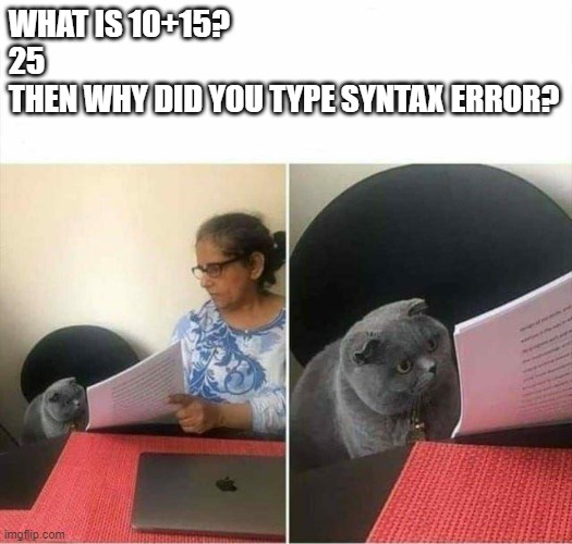 Cat checking homework | WHAT IS 10+15?
25
THEN WHY DID YOU TYPE SYNTAX ERROR? | image tagged in cat checking homework | made w/ Imgflip meme maker
