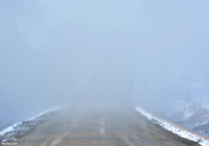 Something’s in the fog… but what? | image tagged in into the fog | made w/ Imgflip meme maker