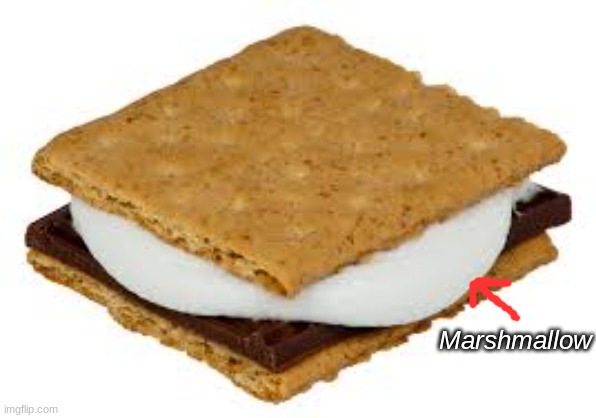 smore | Marshmallow | image tagged in smore | made w/ Imgflip meme maker