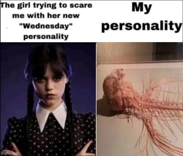 Nerves | image tagged in human,wednesday addams | made w/ Imgflip meme maker