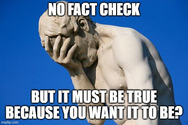 Really? | NO FACT CHECK; BUT IT MUST BE TRUE BECAUSE YOU WANT IT TO BE? | image tagged in facepalm statue | made w/ Imgflip meme maker