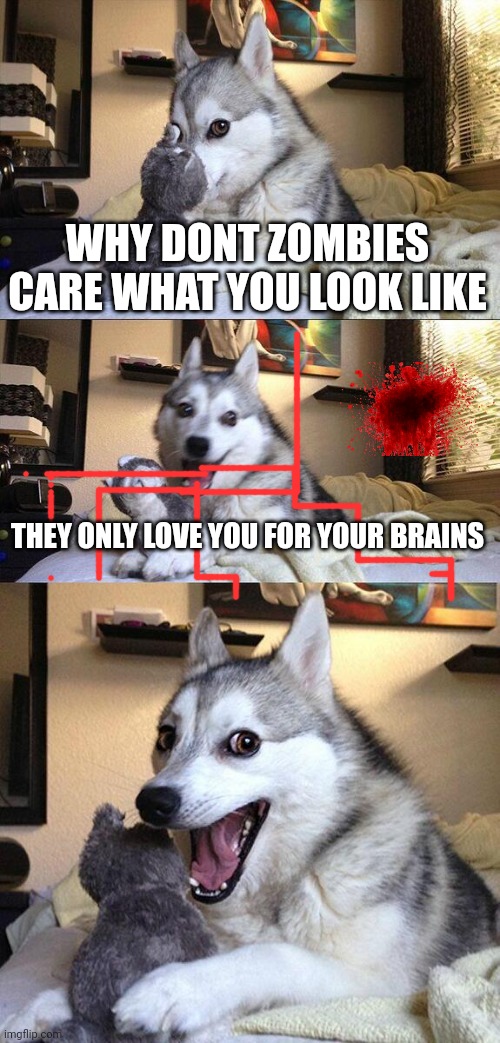 scary joke | WHY DONT ZOMBIES CARE WHAT YOU LOOK LIKE; THEY ONLY LOVE YOU FOR YOUR BRAINS | image tagged in memes,bad pun dog | made w/ Imgflip meme maker