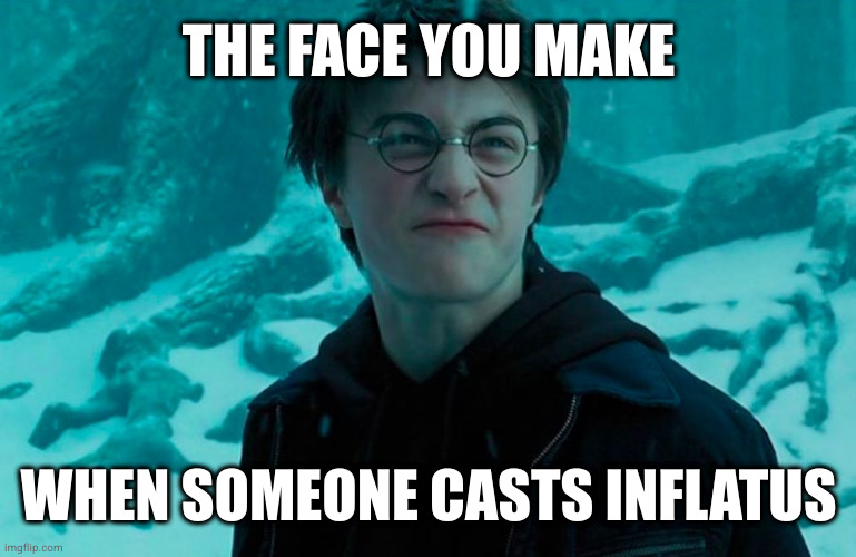 Inflatus | THE FACE YOU MAKE; WHEN SOMEONE CASTS INFLATUS | image tagged in harry potter | made w/ Imgflip meme maker