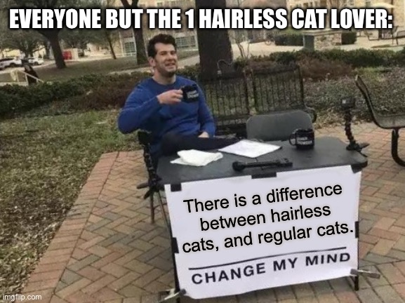 Cats | EVERYONE BUT THE 1 HAIRLESS CAT LOVER:; There is a difference between hairless cats, and regular cats. | image tagged in memes,change my mind | made w/ Imgflip meme maker