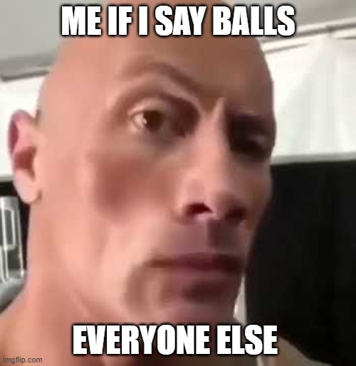 The Rock Eyebrows | ME IF I SAY BALLS; EVERYONE ELSE | image tagged in the rock eyebrows | made w/ Imgflip meme maker