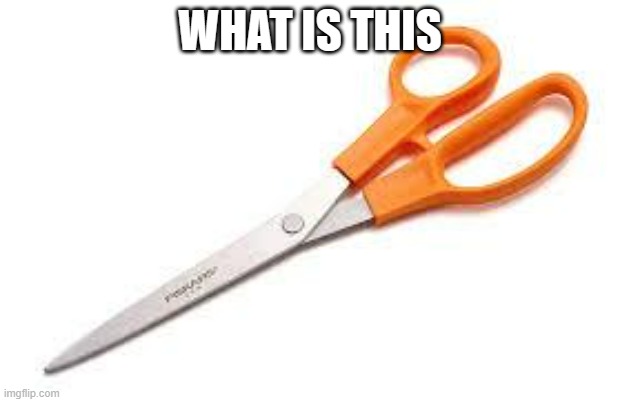 Scumbag Scissors | WHAT IS THIS | image tagged in scumbag scissors | made w/ Imgflip meme maker