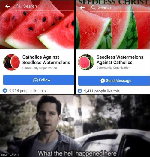 ?? | image tagged in what the hell happened here,watermelon,materwelon,facebook,funny memes,funny | made w/ Imgflip meme maker