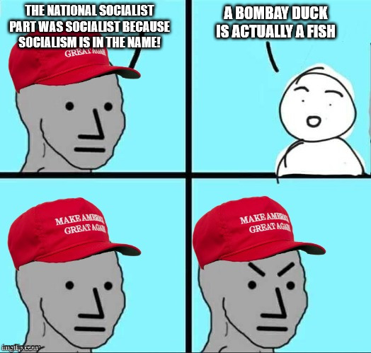 I guess it's not all in the name | THE NATIONAL SOCIALIST PART WAS SOCIALIST BECAUSE SOCIALISM IS IN THE NAME! A BOMBAY DUCK IS ACTUALLY A FISH | image tagged in maga npc an an0nym0us template | made w/ Imgflip meme maker