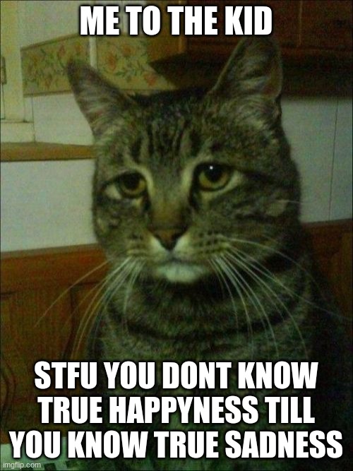 Depressed Cat Meme | ME TO THE KID STFU YOU DONT KNOW TRUE HAPPYNESS TILL YOU KNOW TRUE SADNESS | image tagged in memes,depressed cat | made w/ Imgflip meme maker