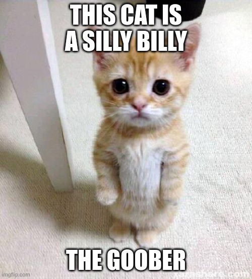 awwwwww the sillyest billy | THIS CAT IS A SILLY BILLY; THE GOOBER | image tagged in memes,cute cat | made w/ Imgflip meme maker