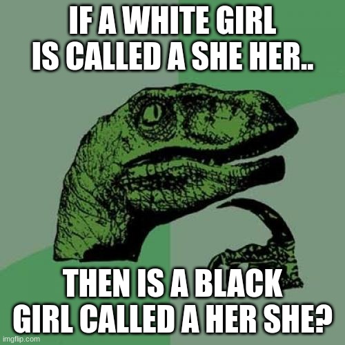 Racist dino | IF A WHITE GIRL IS CALLED A SHE HER.. THEN IS A BLACK GIRL CALLED A HER SHE? | image tagged in memes,philosoraptor | made w/ Imgflip meme maker