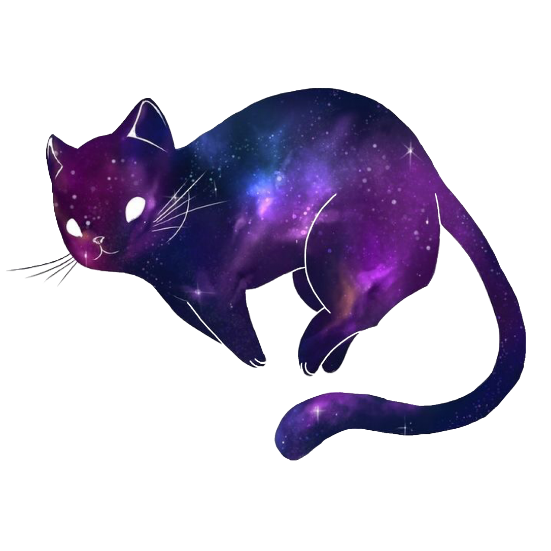 High Quality space cat Blank Meme Template