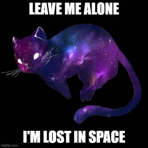 space cat | LEAVE ME ALONE; I'M LOST IN SPACE | image tagged in space cat | made w/ Imgflip meme maker
