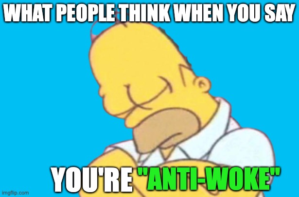 Anti-woke? | WHAT PEOPLE THINK WHEN YOU SAY; YOU'RE; "ANTI-WOKE" | image tagged in homer asleep | made w/ Imgflip meme maker