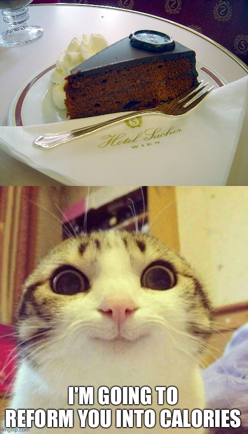 I'M GOING TO REFORM YOU INTO CALORIES | image tagged in memes,smiling cat | made w/ Imgflip meme maker