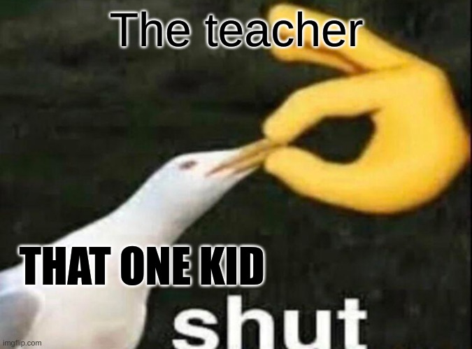 can anyone relate | The teacher; THAT ONE KID | image tagged in shut,memes | made w/ Imgflip meme maker