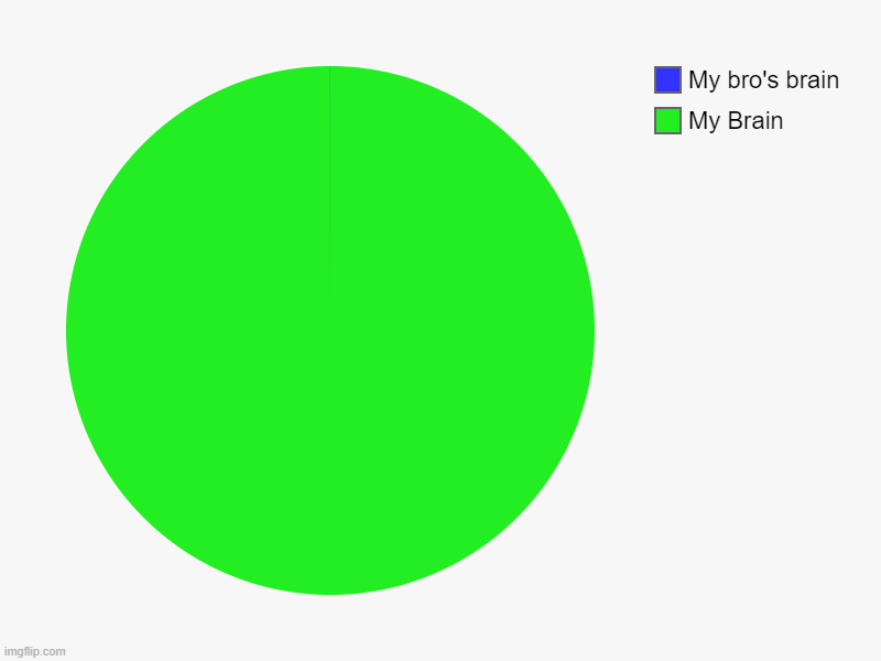 This MUST be true | My Brain, My bro's brain | image tagged in charts,pie charts | made w/ Imgflip chart maker