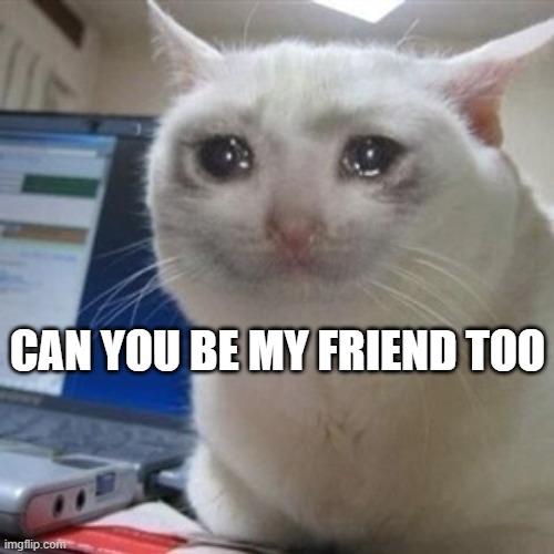 Crying cat | CAN YOU BE MY FRIEND TOO | image tagged in crying cat | made w/ Imgflip meme maker