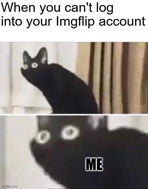 Oh No Black Cat | When you can't log into your Imgflip account; ME | image tagged in oh no black cat | made w/ Imgflip meme maker