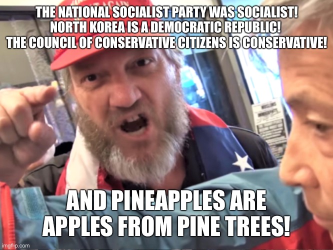 Angry Trump Supporter | THE NATIONAL SOCIALIST PARTY WAS SOCIALIST! NORTH KOREA IS A DEMOCRATIC REPUBLIC!  THE COUNCIL OF CONSERVATIVE CITIZENS IS CONSERVATIVE! AND | image tagged in angry trump supporter | made w/ Imgflip meme maker