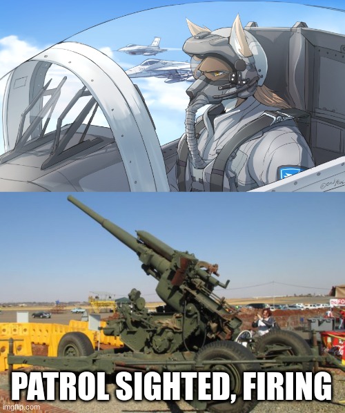 DREAM ON BITCH | PATROL SIGHTED, FIRING | image tagged in 3 7 inch mk 1 anti-aircraft gun | made w/ Imgflip meme maker