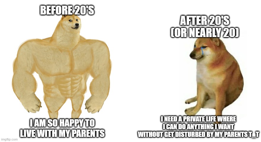me before 20's and after 20's | BEFORE 20'S; AFTER 20'S (OR NEARLY 20); I NEED A PRIVATE LIFE WHERE I CAN DO ANYTHING I WANT WITHOUT GET DISTURBED BY MY PARENTS T_T; I AM SO HAPPY TO LIVE WITH MY PARENTS | image tagged in buff doge vs crying cheems | made w/ Imgflip meme maker