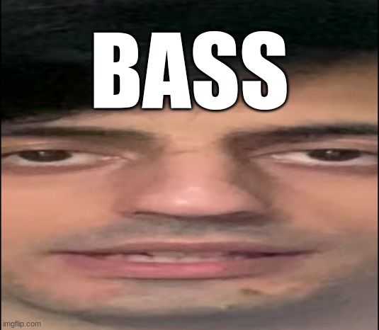 BASS | BASS | image tagged in memes,instruments | made w/ Imgflip meme maker